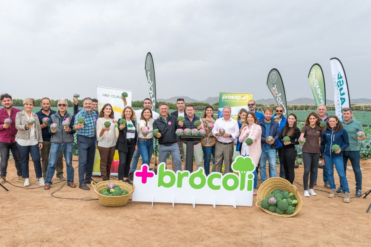 The 17th campaign of +Broccoli concludes to promote broccoli ...