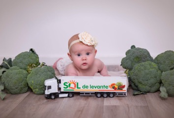 Sol de Levante